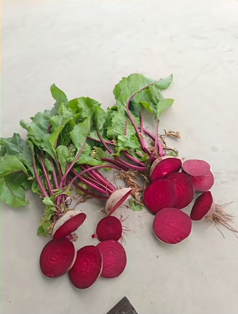 甜菜根基地全年现货直发市场加工脱水出口外贸甜菜头
