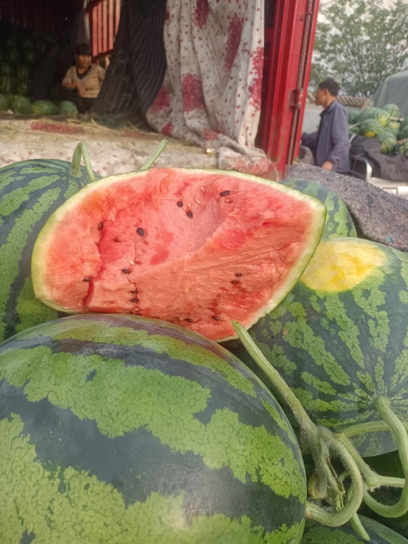 甜王西瓜，对接批发市场，档口，货源充足，代发全国