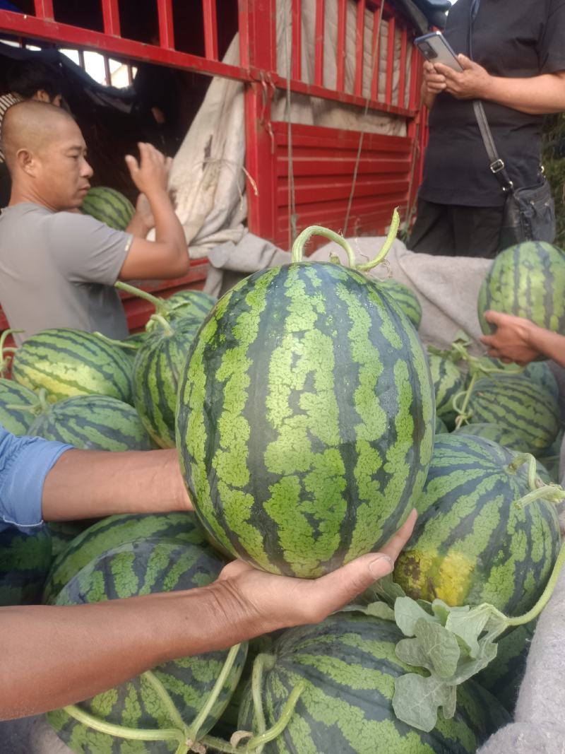 甜王西瓜，对接批发市场，档口，货源充足，代发全国