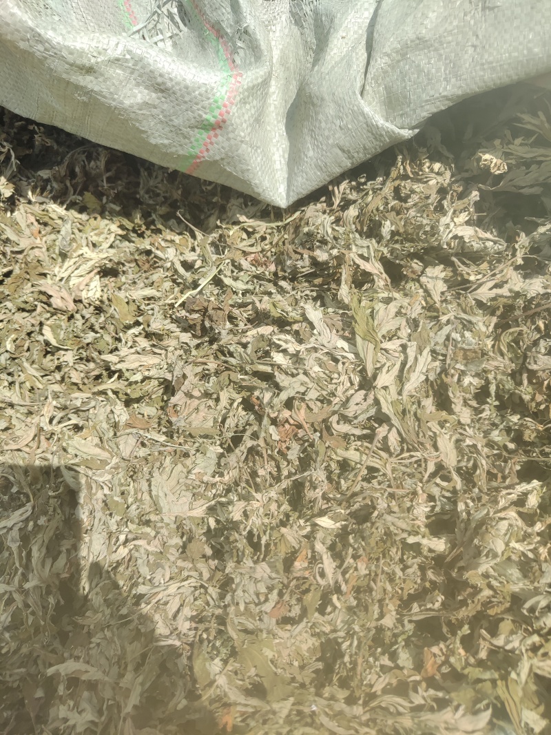 武当山陈艾，深受新老客户欢迎