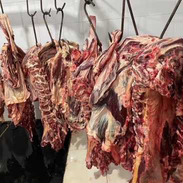 纯干鲜牛肉质量保证源头厂家直发纯绿色无公害量大从优
