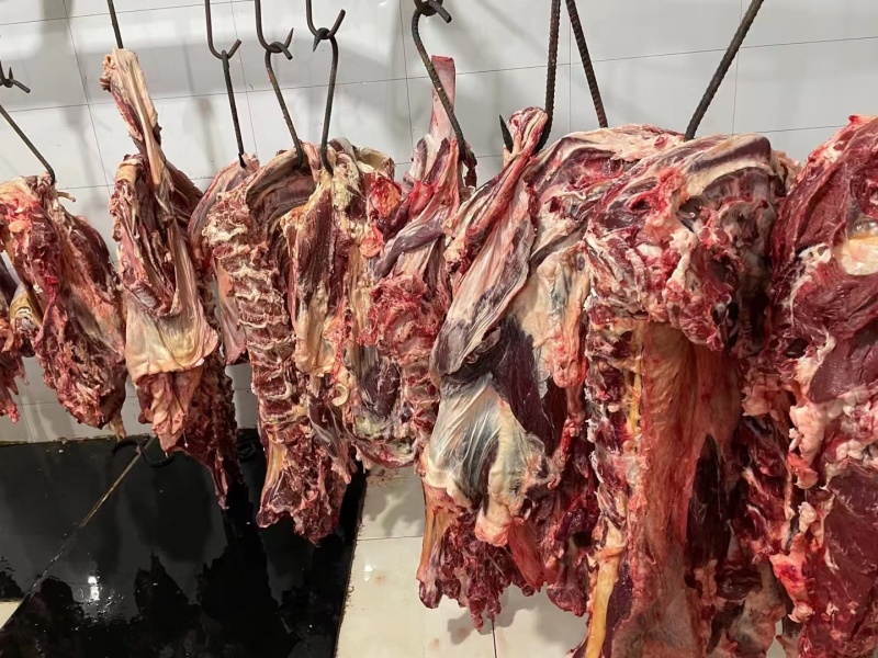 纯干鲜牛肉质量保证源头厂家直发纯绿色无公害量大从优
