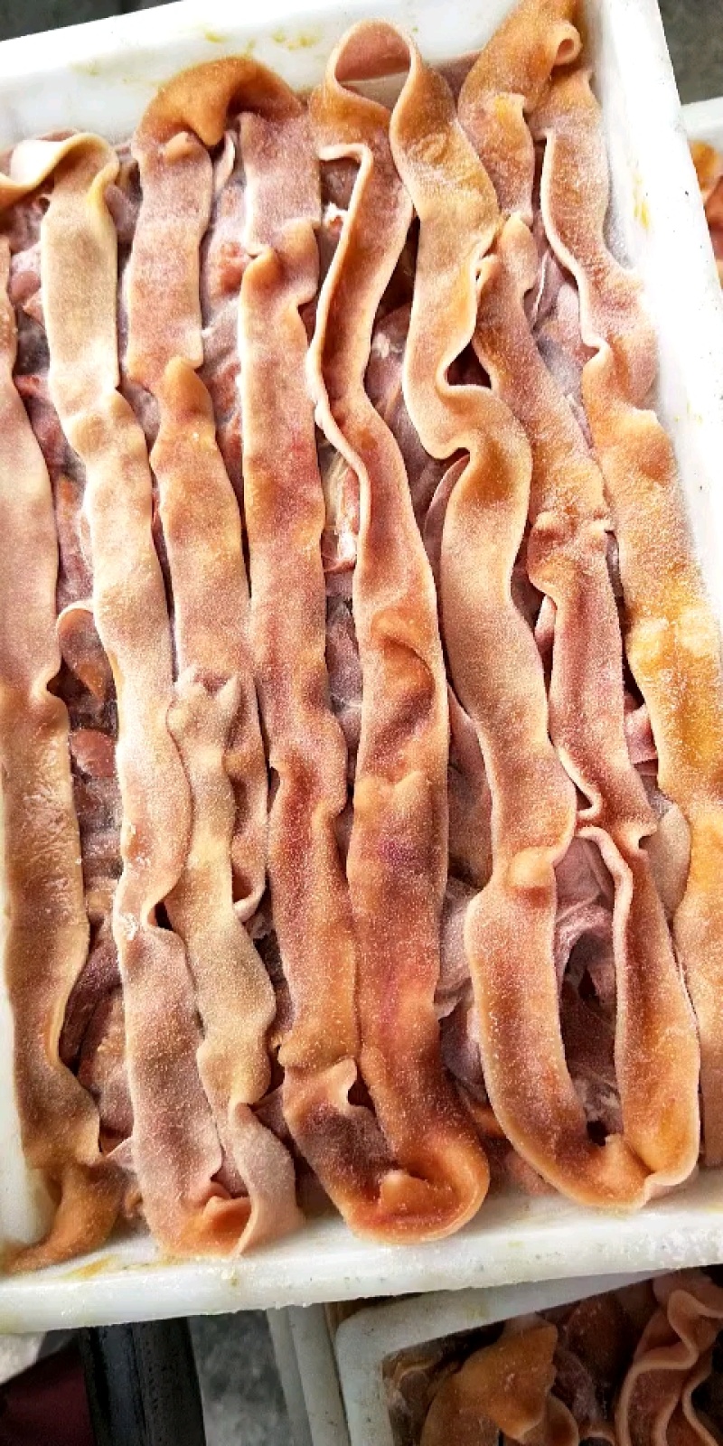 鹅肠批发冷冻鹅肠火锅食材冷鲜鹅肠滑嫩脆爽