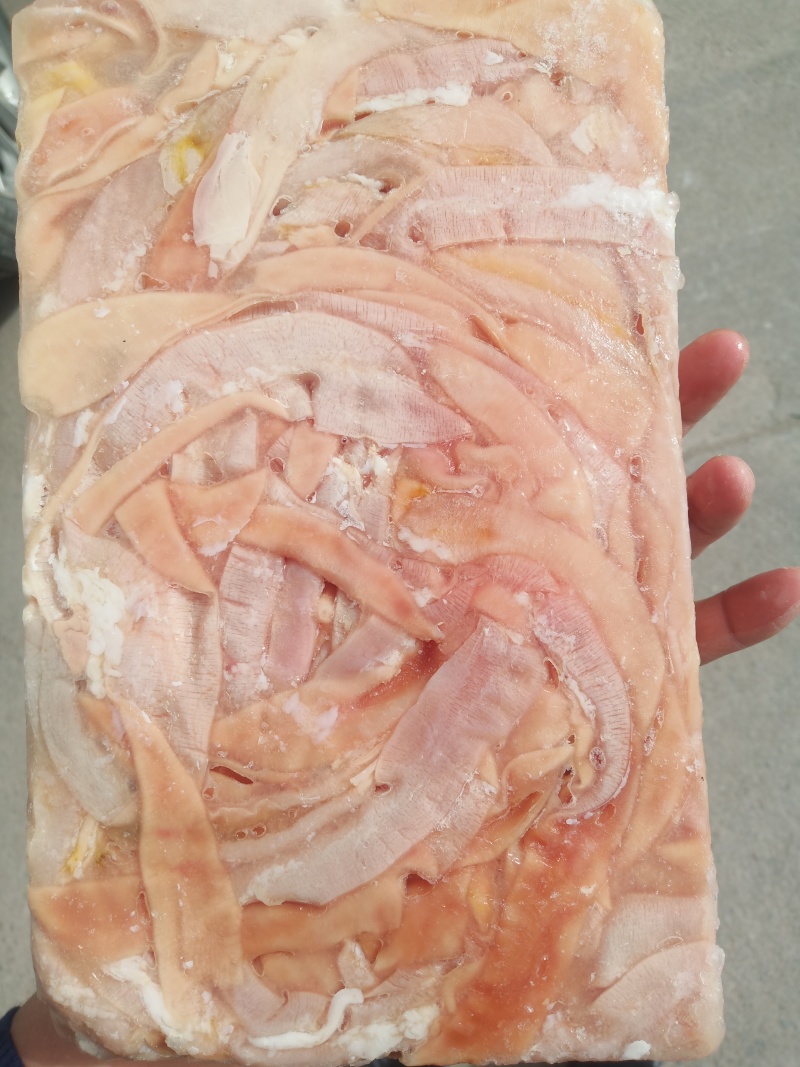 鹅肠批发冷冻鹅肠火锅食材冷鲜鹅肠滑嫩脆爽