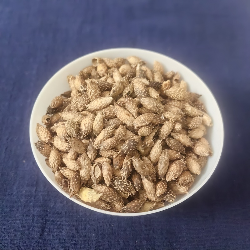 苍耳子各种中药材产地货源实物拍摄苍耳子