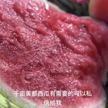 无籽美都西瓜头茬瓜无籽西瓜一手货源量大从优，欢迎来电！