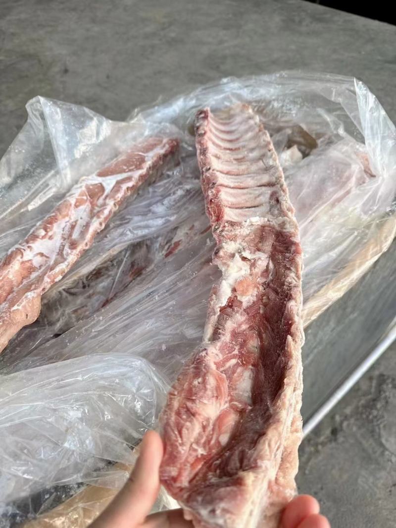 国产肥猪龙骨