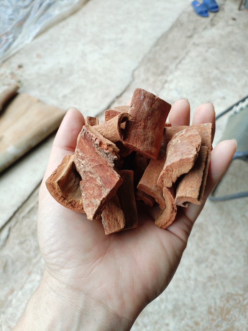 广西桂皮无硫今年新桂皮烟桂常年供货存货充足