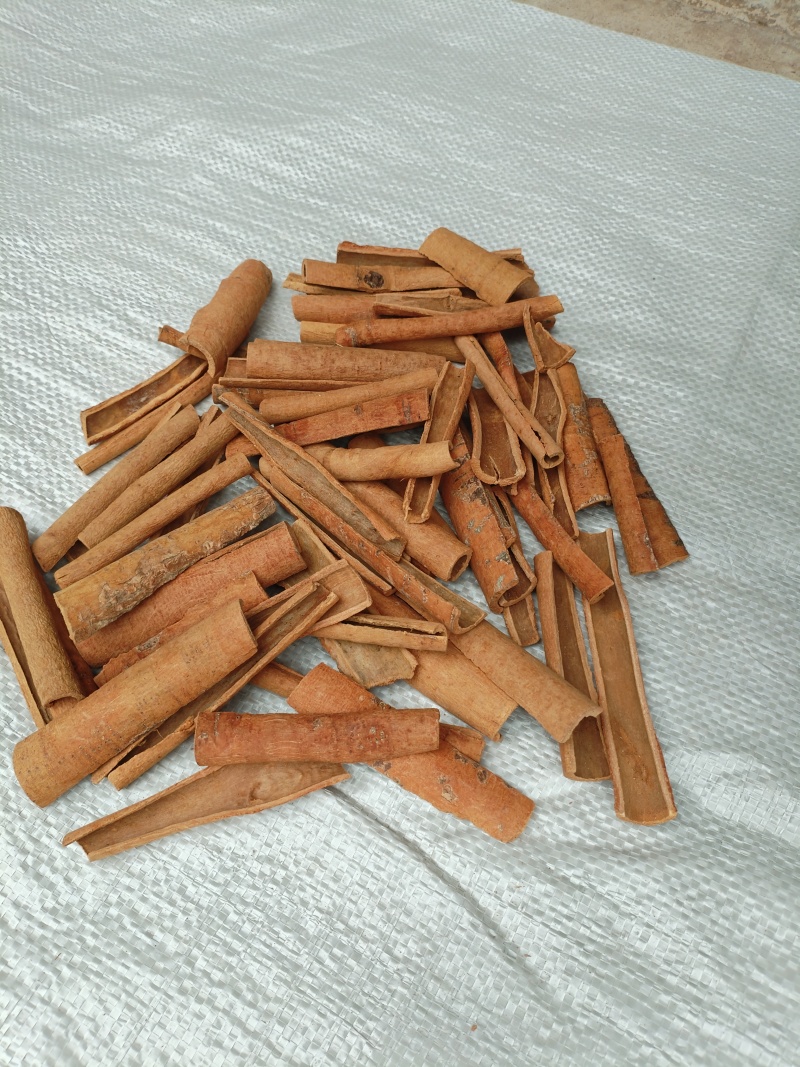 广西桂皮无硫今年新桂皮烟桂常年供货存货充足