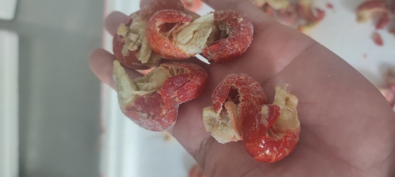 特级小龙虾尾