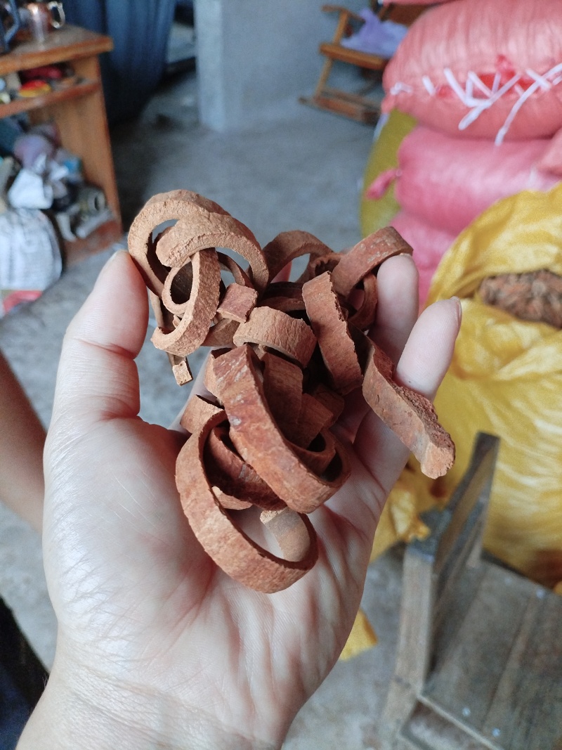 广西桂皮无硫今年新桂皮烟桂常年供货存货充足