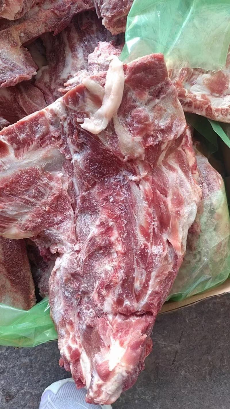 3924母猪颈骨