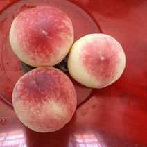 红白粉毛桃