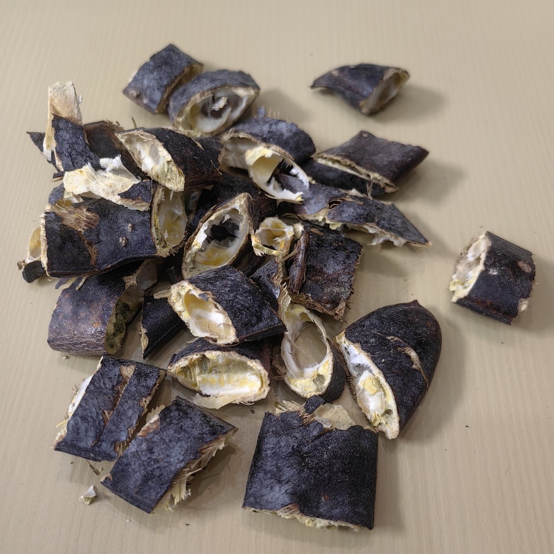 皂角皂荚皂角切片中药材批发皂角实物拍摄