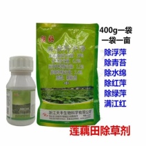 留好莲田除草剂苗后扑草净莲藕田阔叶杂草浮萍青苔水绵农药