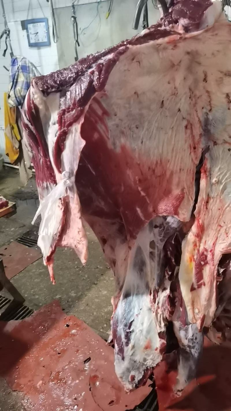 精品牛肉，辽宁牛肉，黄牛肉大量供应，新鲜宰割，肉质肥美，