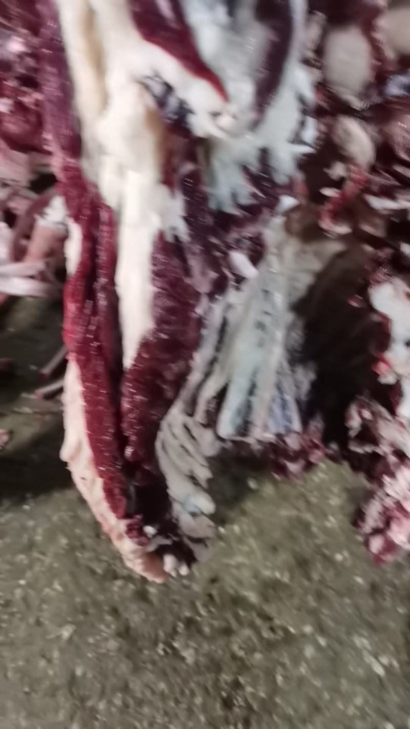 精品牛肉，辽宁牛肉，黄牛肉大量供应，新鲜宰割，肉质肥美，