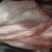 牛肺管，去油，生