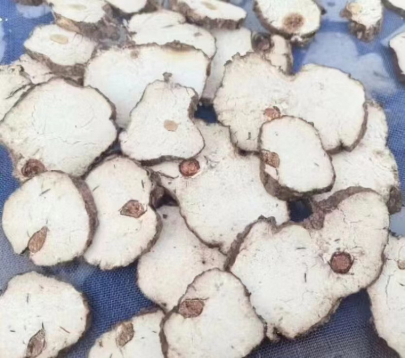 【推荐】云南精品茯神，规格齐全，可视频看货选货，欢迎选购