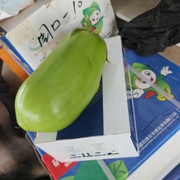 精品茄子王