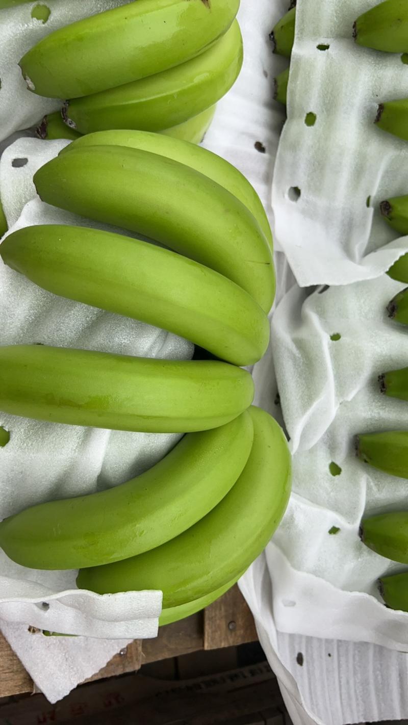 菲律宾高地香蕉，大品牌自有基地，品质稳定