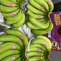菲律宾高地香蕉，大品牌自有基地，品质稳定