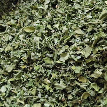 辣木叶云南辣木籽叶辣木干叶片自然晾晒包邮