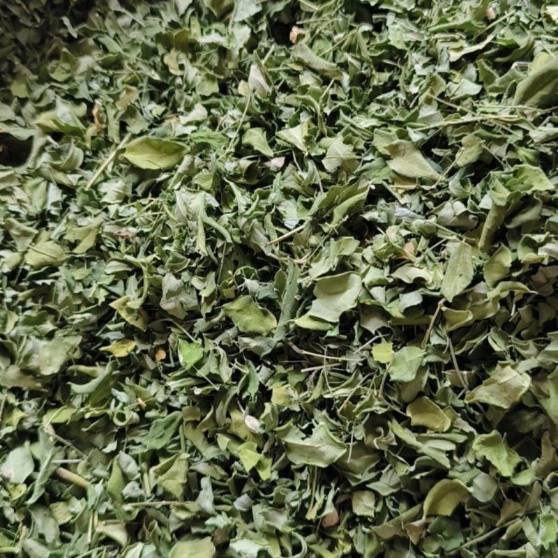 辣木叶云南辣木籽叶辣木干叶片自然晾晒包邮