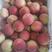 露天油桃毛桃水蜜桃开始了，支持全国发货