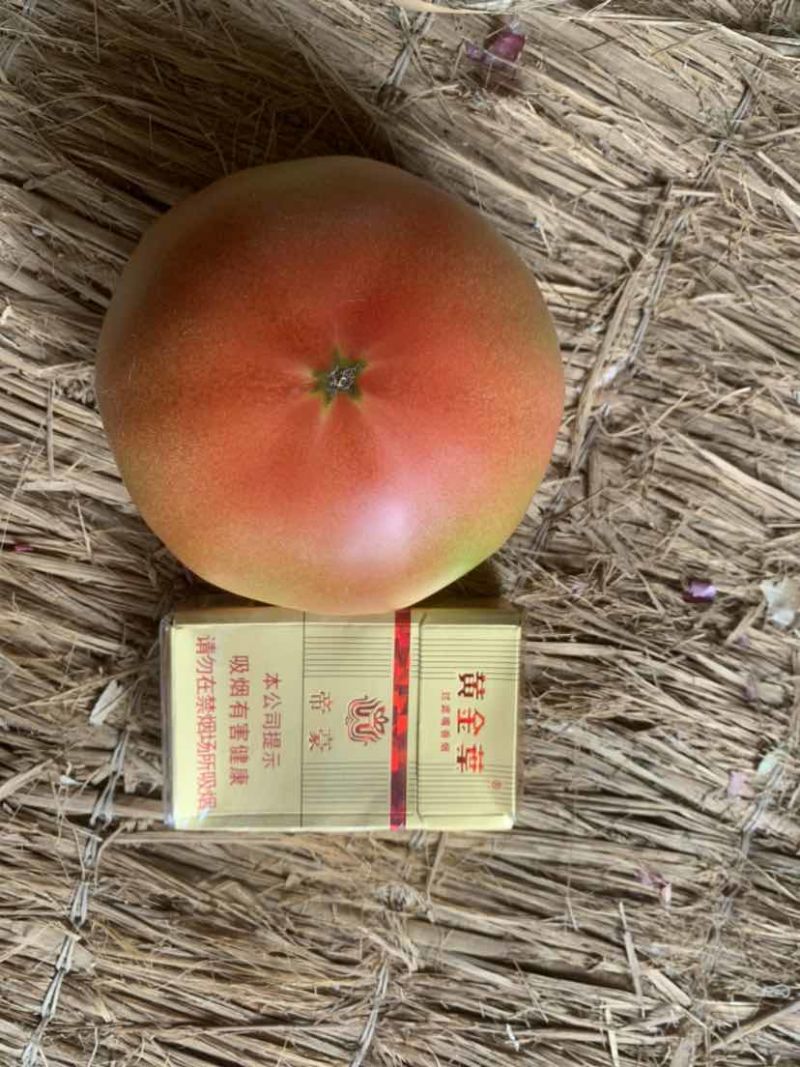 面沙瓤西红柿，硬粉，产地直发，全国供货，品质保证，欢迎来电
