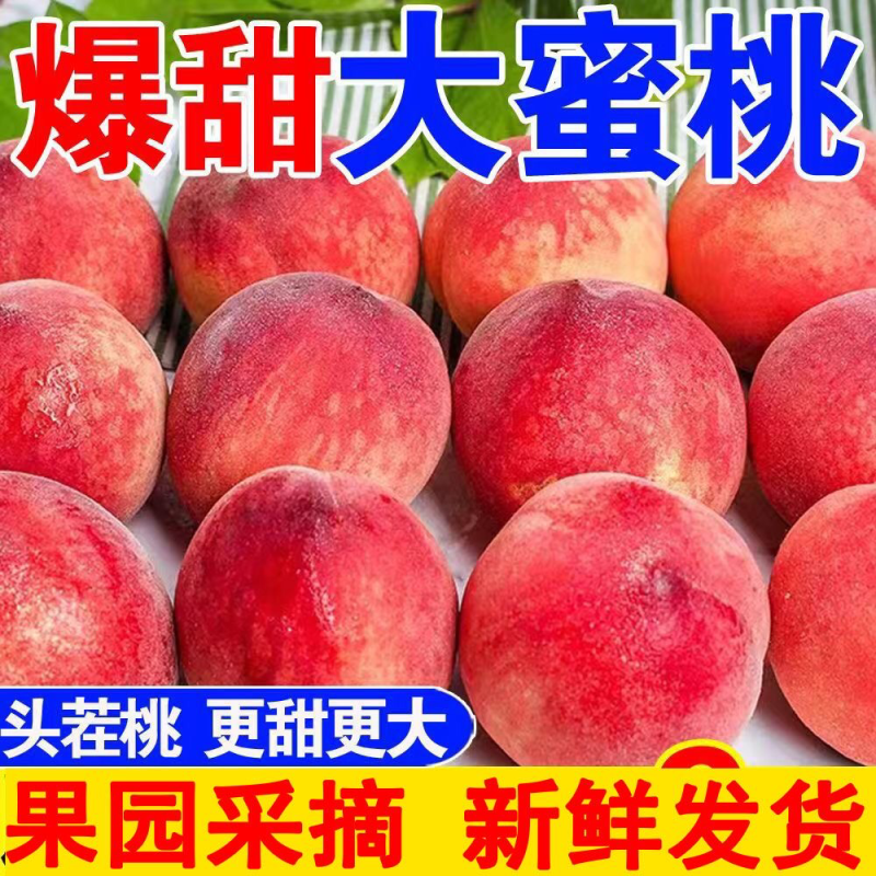 红不软桃陕西毛桃产地直发视频看货欢迎选购