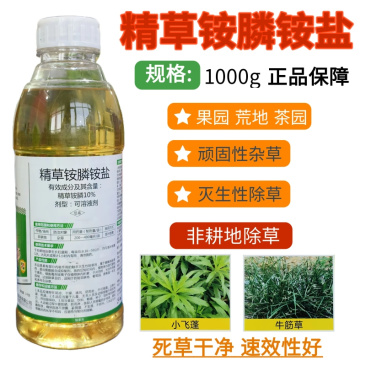 除草剂10%精草铵膦铵盐小飞蓬牛筋草水花钱烂根不返清