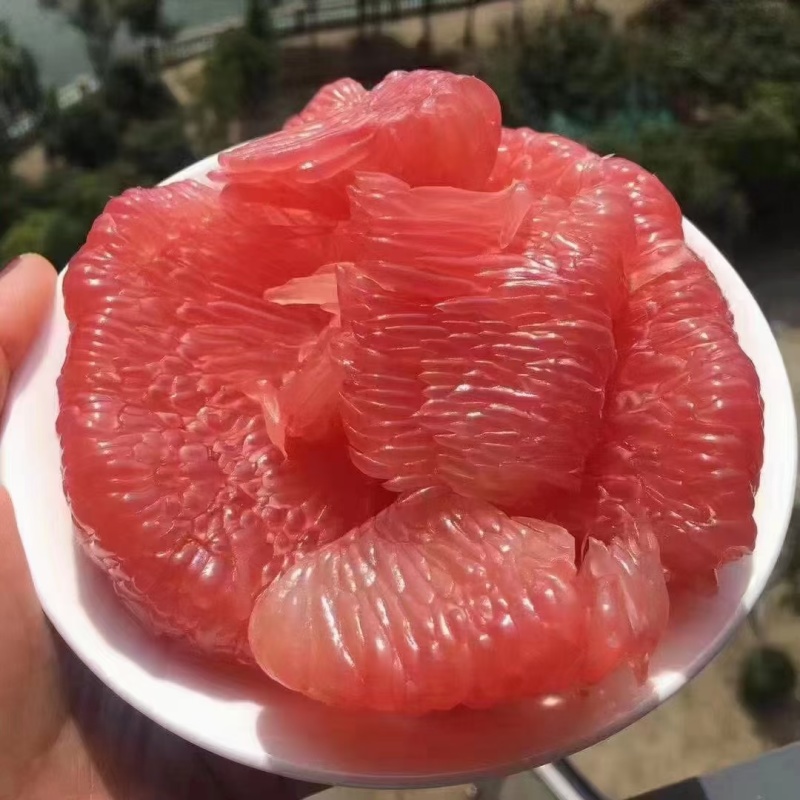 福建平和。三红蜜柚