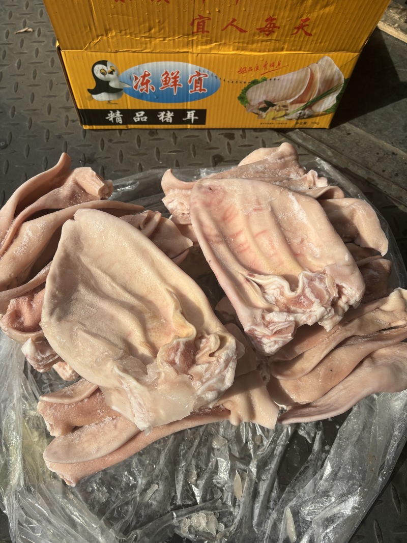 猪耳朵