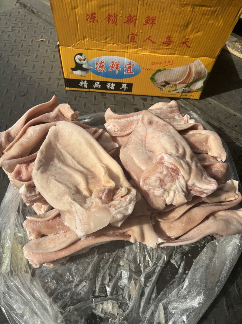 猪耳朵
