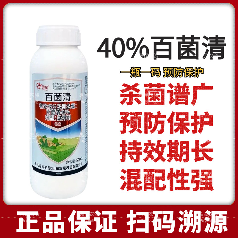 40%百菌清早晚疫病专用药白粉霜霉叶枯病杀菌剂