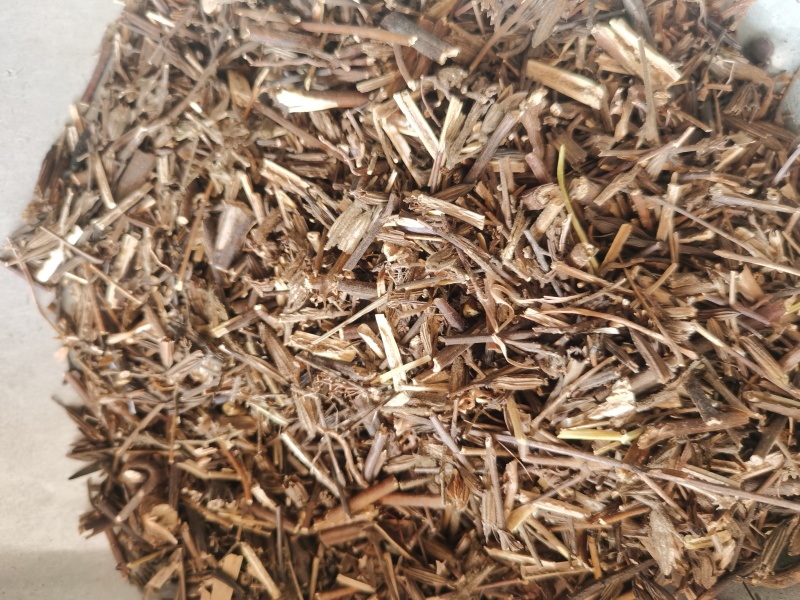 刘寄奴新货刘寄奴过筛无粉干净颜色好