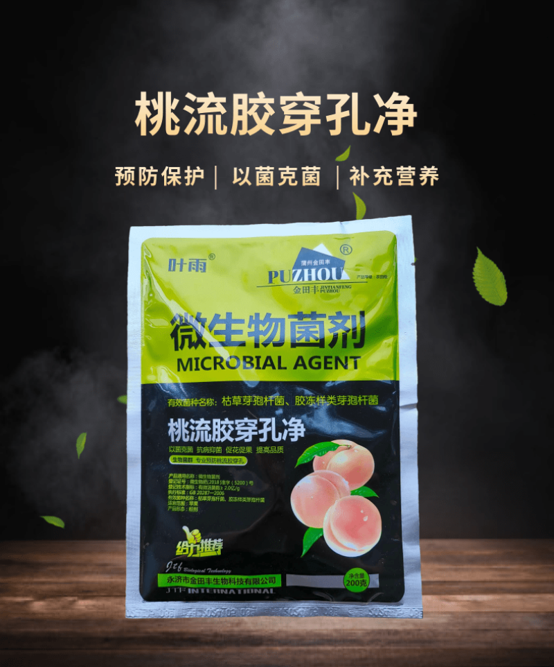 桃流胶穿孔净桃树果树流胶溃疡穿孔病专用药微生物菌剂