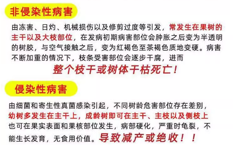 桃流胶穿孔净桃树果树流胶溃疡穿孔病专用药微生物菌剂