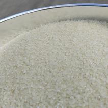 江苏大米粳米香米大量供应产地直发量大从优