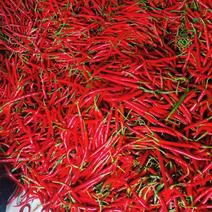 精品红线椒大量供应，辣椒，货源充足，品质保障诚信经营