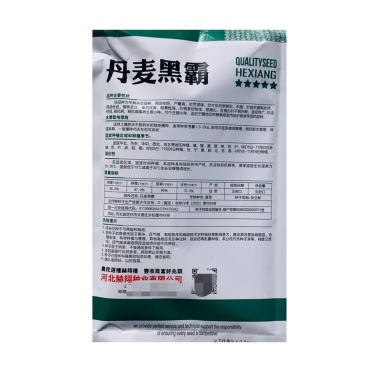 杂交直立菠菜种子黑圆叶厚叶趴地菠菜种籽抗病高产大田种孑