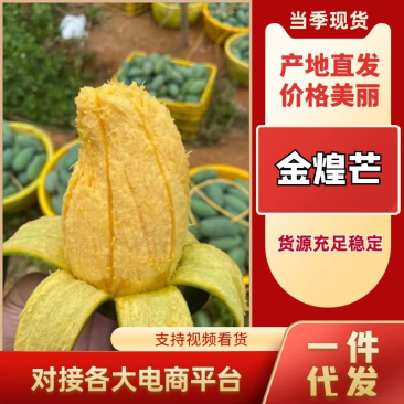 大青芒金煌芒产地直发电商支持一件代发社区团购产地直发