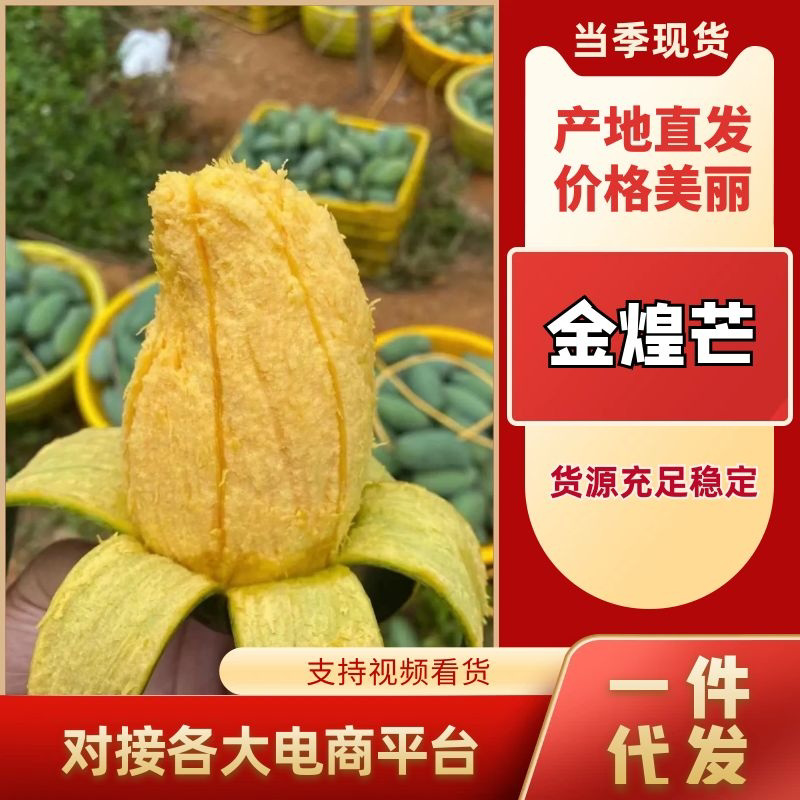 大青芒金煌芒产地直发电商支持一件代发社区团购产地直发