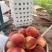 砀山精品油桃，，黄油桃大量供应，