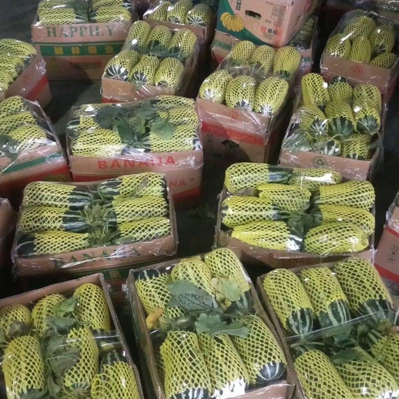 山东精品博洋9大量上市可供电商市场商超欢迎老板来电