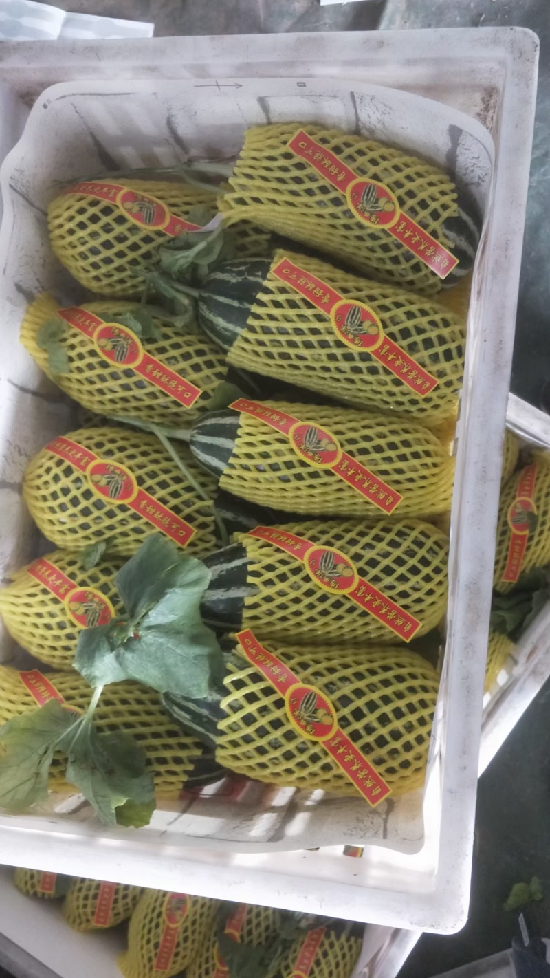 山东精品博洋9大量上市可供电商市场商超欢迎老板来电
