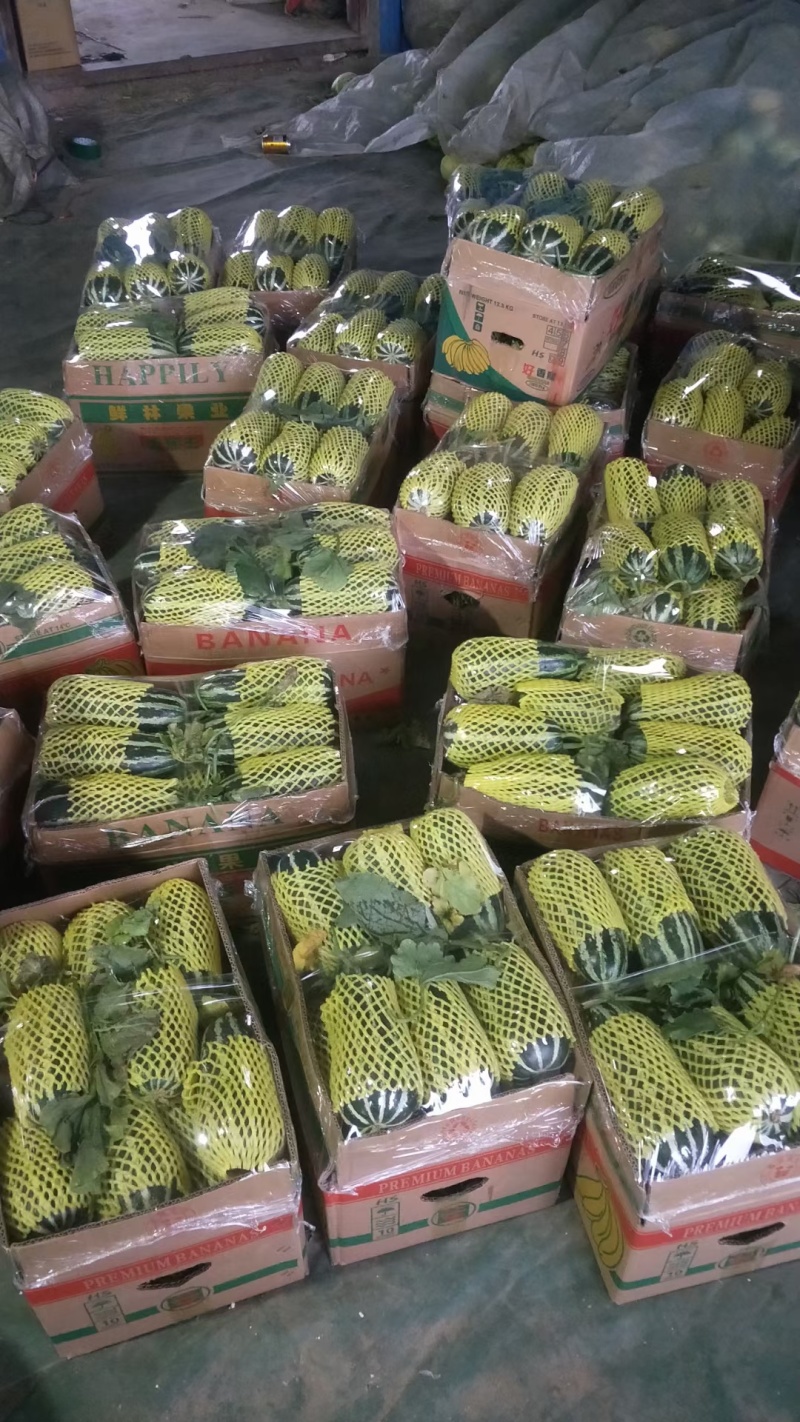 山东精品博洋9大量上市可供电商市场商超欢迎老板来电