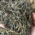 高香松针茶叶云南绿茶新茶