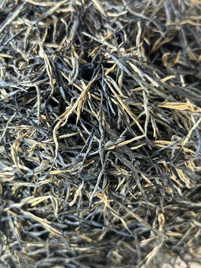 高香松针茶叶云南绿茶新茶